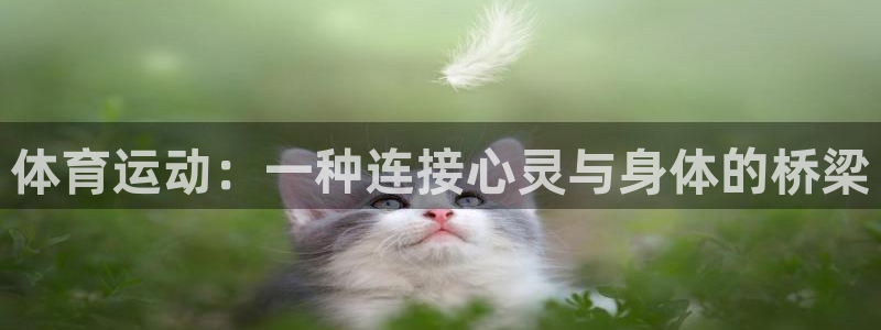 德国杏悦2集团