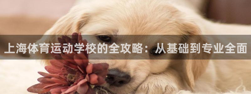 杏悦22平台注册