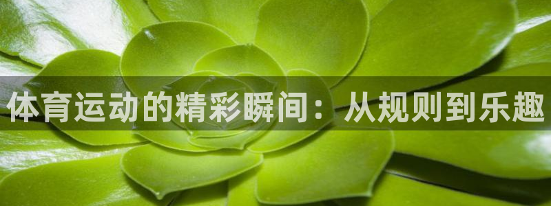 杏悦2零能源集团