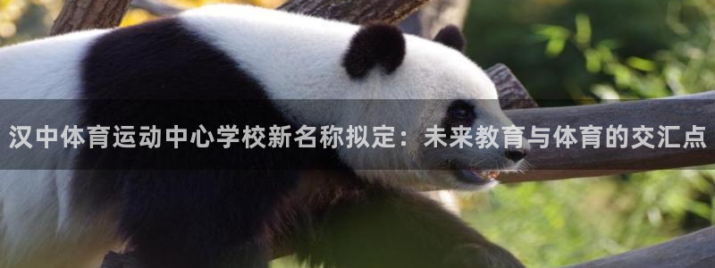 杏悦24代理