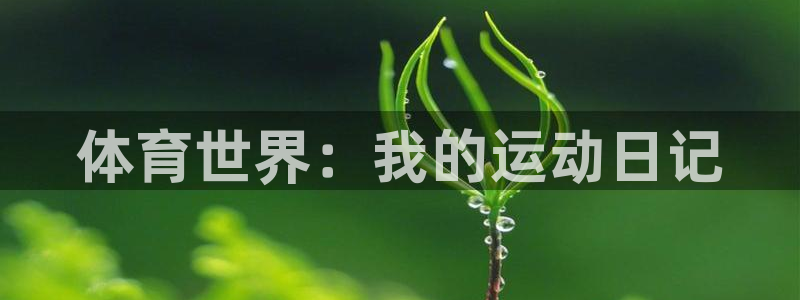 杏悦2官网注册