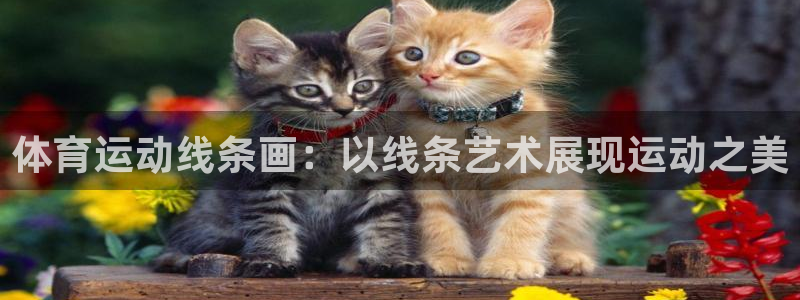 杏悦2官网