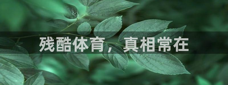 杏悦24代理