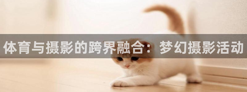 杏悦2集团股票