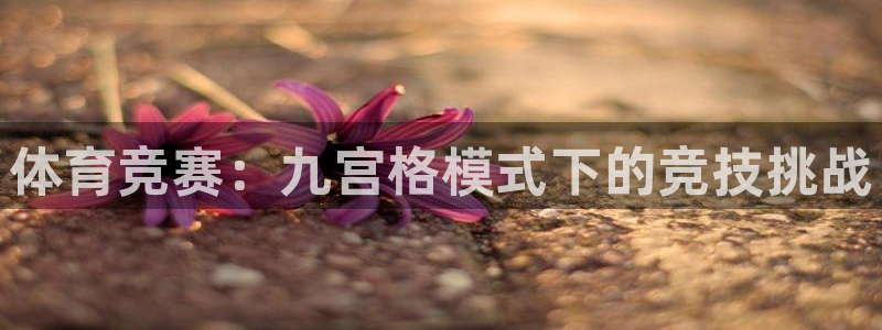 杏悦22平台