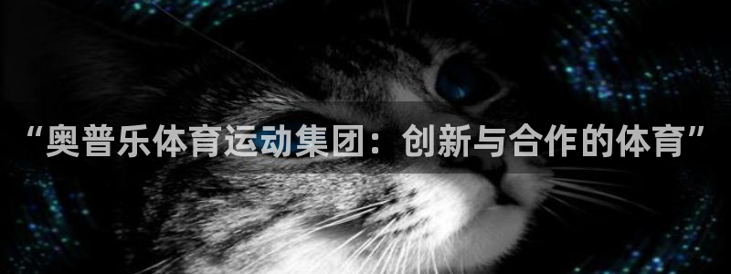 杏悦2凯捷开号链接