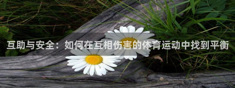 杏悦2体育注册