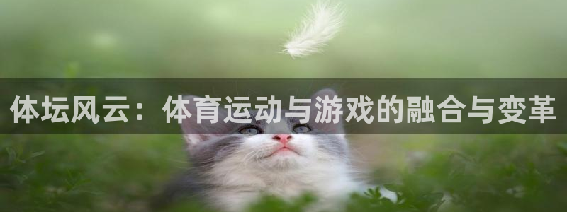 杏悦2注代理