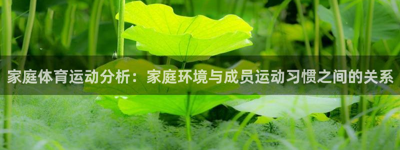 杏悦22平台登录