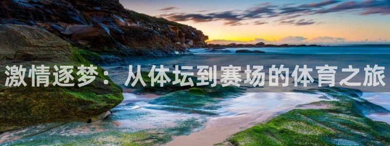 杏悦25