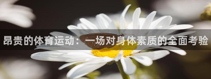 杏悦24