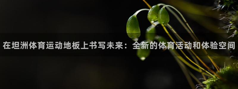 杏悦2平台开户链接