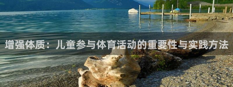 杏悦2平台总代理