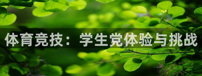 杏悦2集团